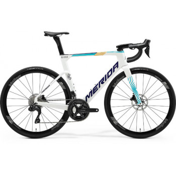 REACTO 5000 teal/perleťovo biely(Team)
