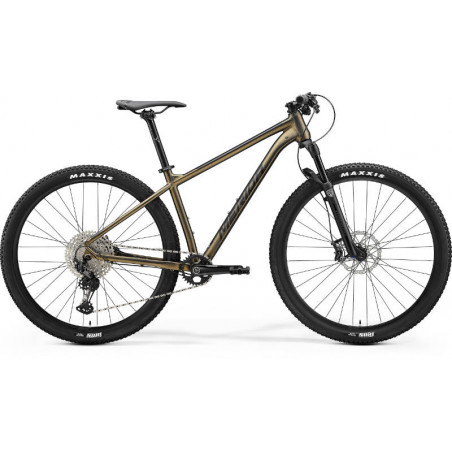 BIG.NINE XT EDITION matný trblietavý zlatý(čierny)