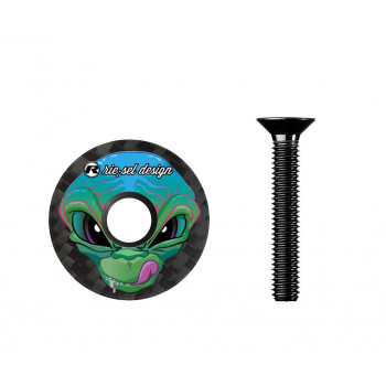 Karbónové viečko RIESEL alien 2025