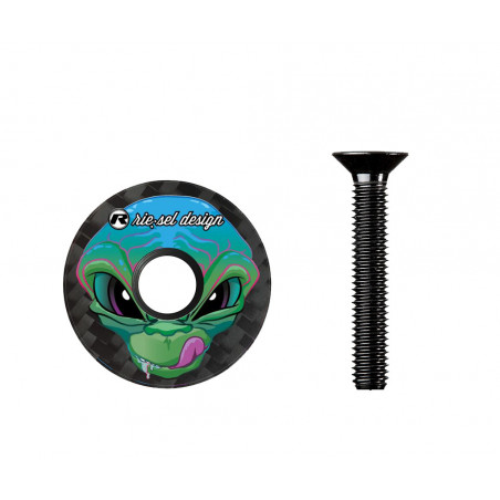 Karbónové viečko RIESEL alien 2025