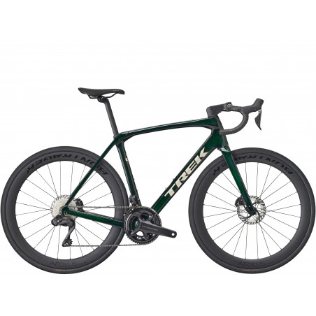 Domane SL 7 Gen 4 Ivy Smoke