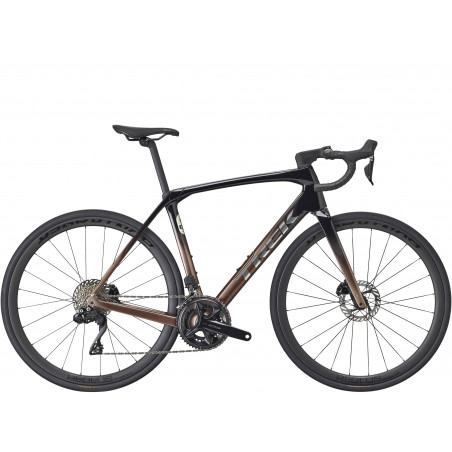 Domane SL 6 Gen 4 Dark Star to Bronze Age Fade