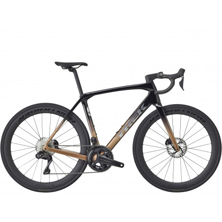 Domane SL 7 Gen 4 Dark Star to Bronze Age Fade
