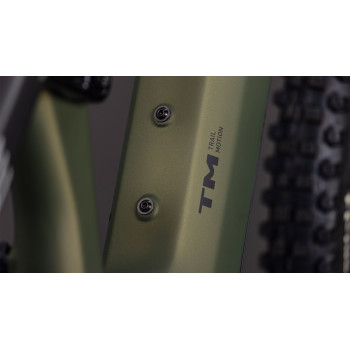 CUBE AMS Hybrid ONE77 C:62 TM 600X reedgreen´n´matrix 2026