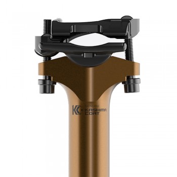 Sedlovka FOX Transfer SL Factory 100mm 30.9mm 2023