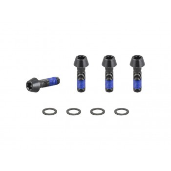 Trek 2021 E Caliber 29 Chainstay Bridge M6x1x20mm Bolts