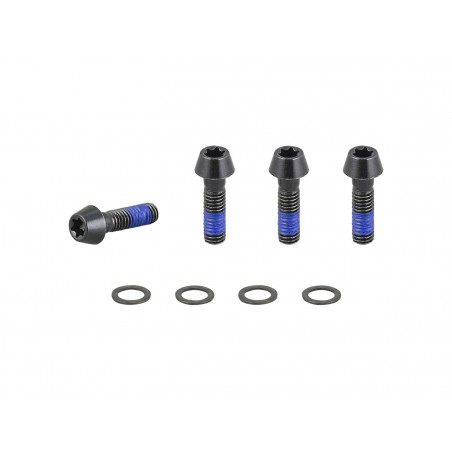 Trek 2021 E Caliber 29 Chainstay Bridge M6x1x20mm Bolts