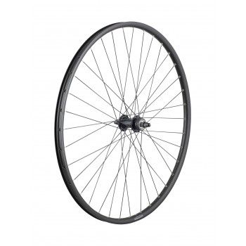 Trek Alex DP23/Centerlock 36H Bolt on 700c Wheel