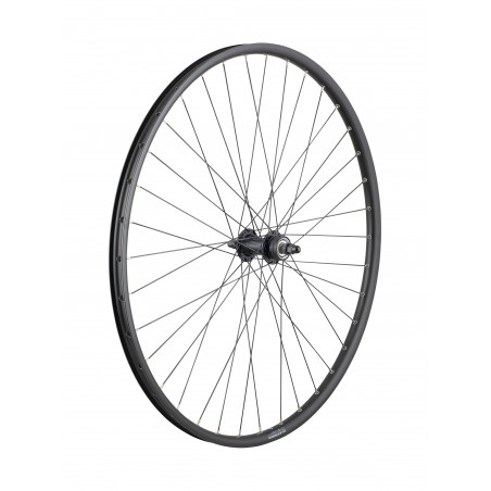 Trek Alex DP23/Centerlock 36H Bolt on 700c Wheel