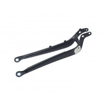 Trek Top Fuel 29 Carbon Chainstay