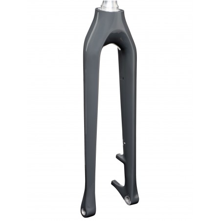 Trek Diamant Zouma+ Carbon Fork