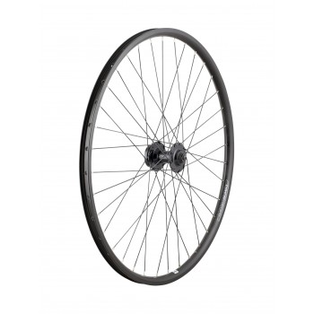Electra Townie Go! 8D 26\'\"\' Wheel