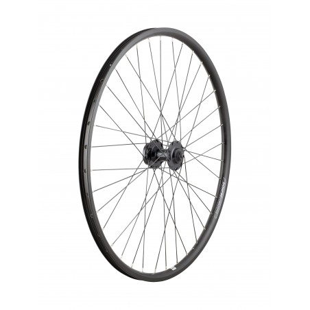 Electra Townie Go! 8D 26\'\"\' Wheel