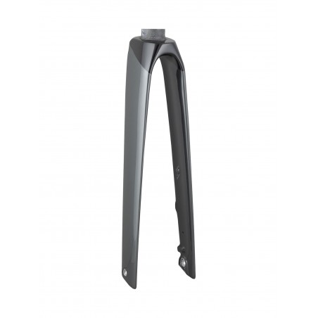 Trek 2021 Madone SL 700c Fork