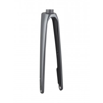 Trek 2021 Domane SLR 700c Fork
