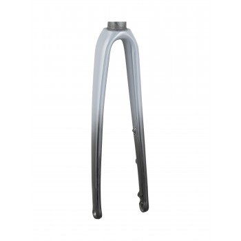 Trek 2021 Émonda ALR 5 700c Fork