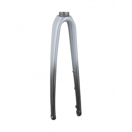 Trek 2021 Émonda ALR 5 700c Fork