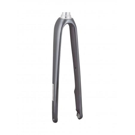 Trek 2021 Domane AL 5 700c Disc Fork