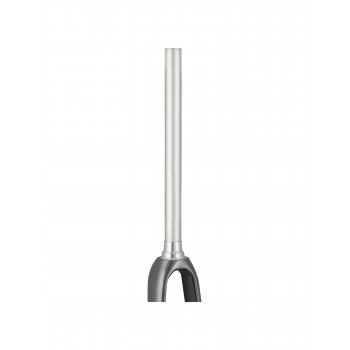 Trek 2021 Domane AL 5 700c Disc Fork