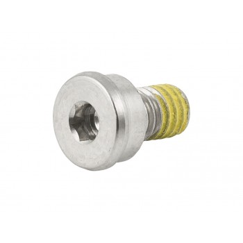 Trek Domane+ SLR Motor Cover Bolt
