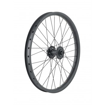 Trek Cargo Bike 6 Bolt Disc 20\" Wheel