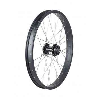 Trek Roscoe Boost 20\" MTB Wheel