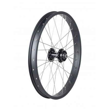 Trek Roscoe Boost 20\" MTB Wheel