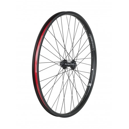 Electra Townie Go! 8i Centerlock Disc 26\" Wheel