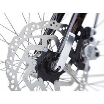 Townie Go! 5i Step Thru EBONY