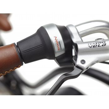 Townie Go! 5i Step Thru EBONY