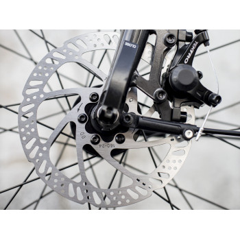 Verve 1 Equipped Lowstep DNISTER BLACK