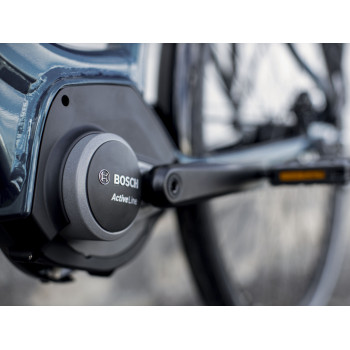 District+ 1 Lowstep DARK AQUATIC