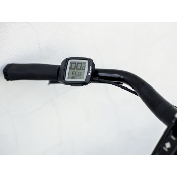 District+ 1 Lowstep DARK AQUATIC