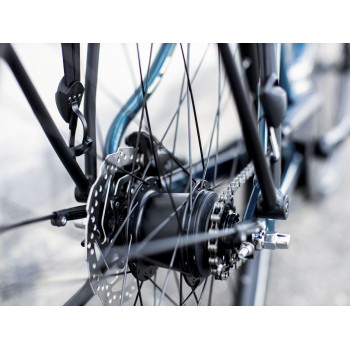 District+ 1 Lowstep DARK AQUATIC