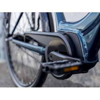 District+ 1 Lowstep DARK AQUATIC