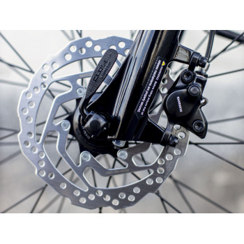 District+ 1 Lowstep DARK AQUATIC