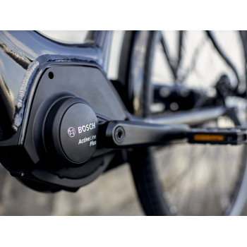 District+ 4 Lowstep DNISTER BLACK