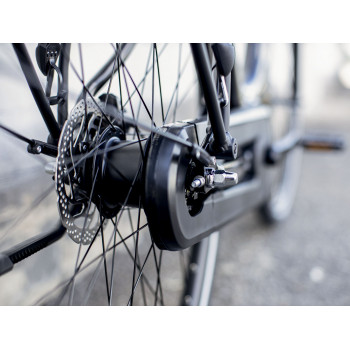 District+ 4 Lowstep DNISTER BLACK