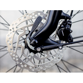 District+ 4 Lowstep DNISTER BLACK