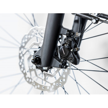 District+ 3 Lowstep BATTLESHIP BLUE