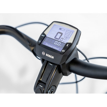 District+ 3 Lowstep 500 W DNISTER BLACK