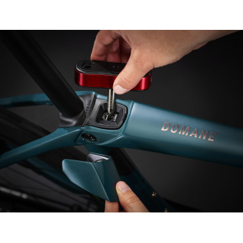 Domane SLR 7 Gen 4 JUNIPER