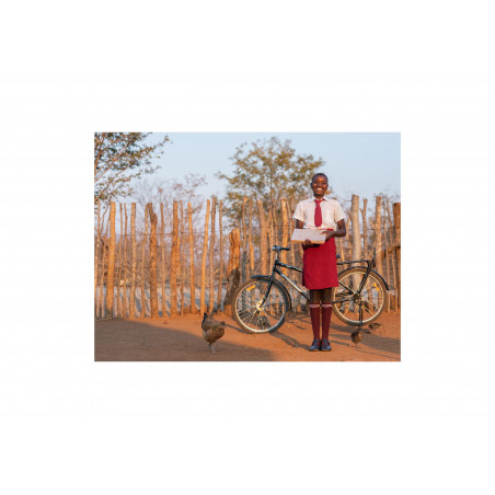 World Bicycle Relief Campaign