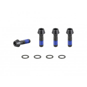 Trek 2021 E Caliber 29 Chainstay Bridge M6x1x20mm Bolts