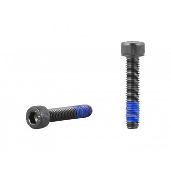 Trek Diamant Bolt M5x25x0.8 Hex Socket Thread Locker
