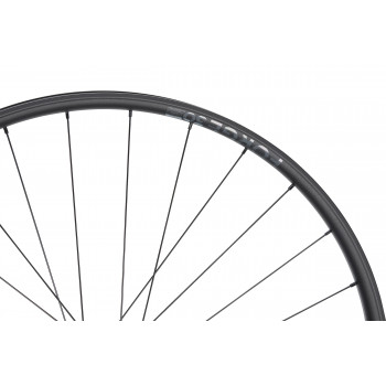 NEWMEN Forge 30 Light 29\" 12x148 6D, zadné koleso